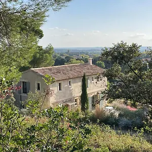 Angelou , Maussane-les-Alpilles France